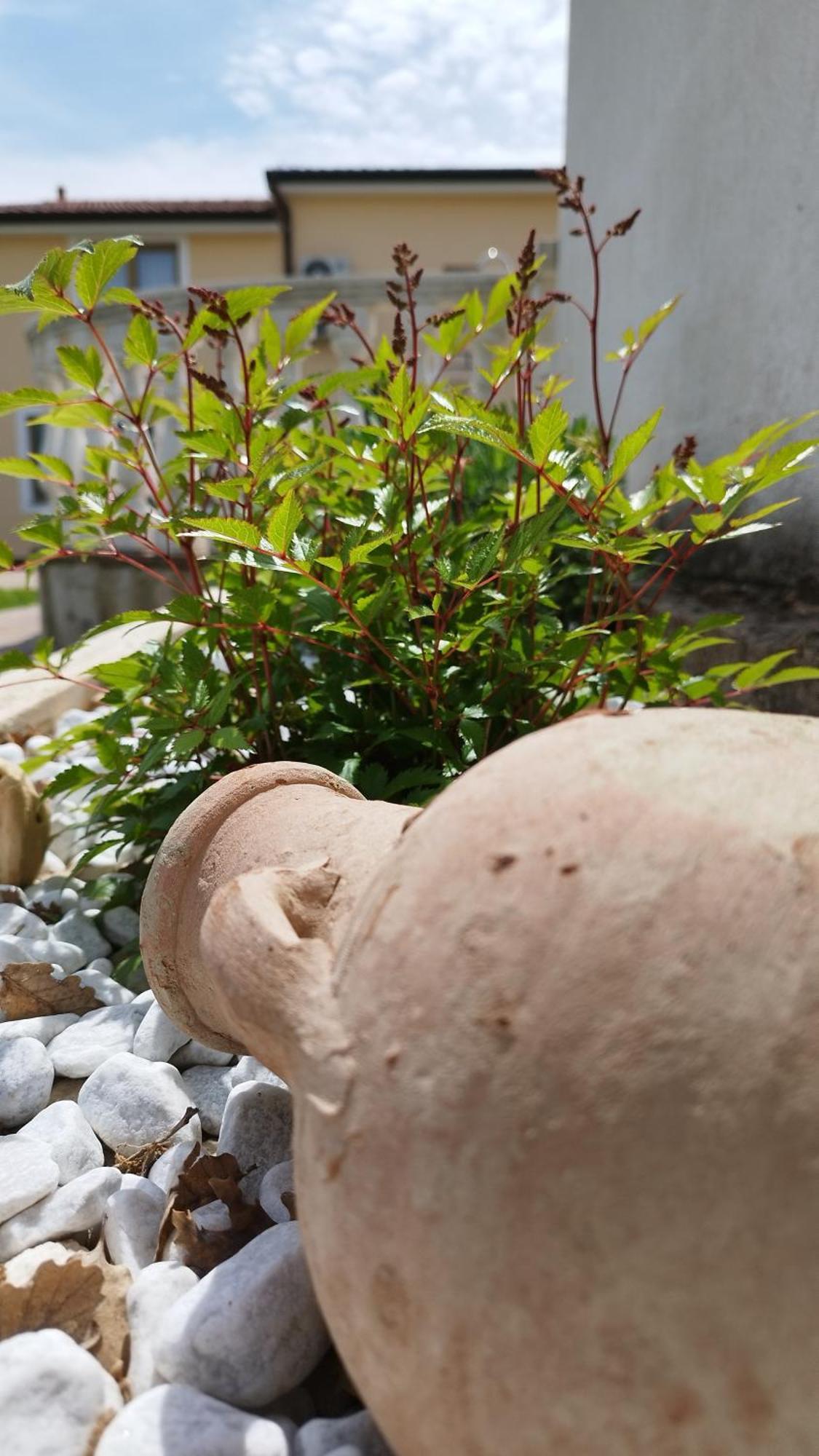 Villa "Pied-A-Terre" Residence & Spa Umag Exterior foto